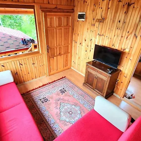 Bahcede Ahsap Bag Evi Ve Cardak
