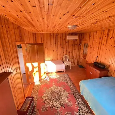 Bahcede Ahsap Bag Evi Ve Cardak *