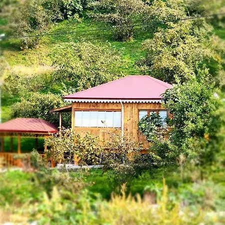 Bahcede Ahsap Bag Evi Ve Cardak * Trabzon