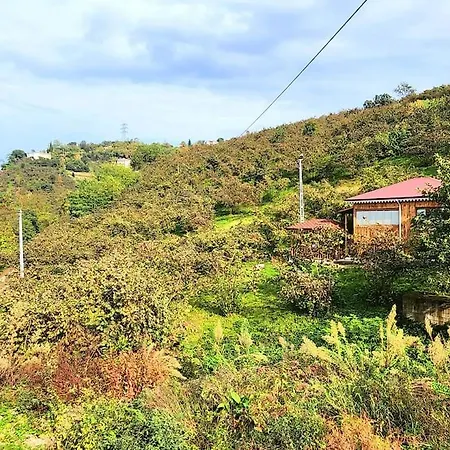 Tatil Evi Bahcede Ahsap Bag Evi Ve Cardak Trabzon