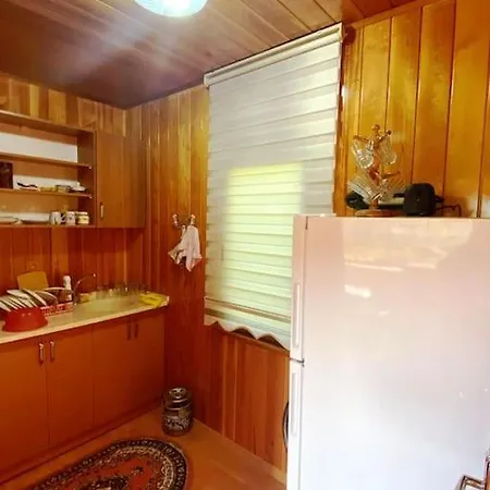 Tatil Evi Bahcede Ahsap Bag Evi Ve Cardak
