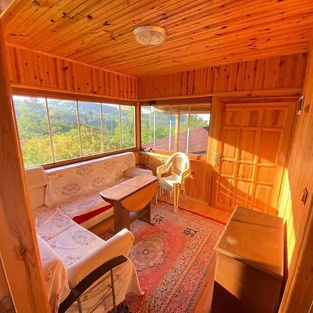 Tatil Evi Bahcede Ahsap Bag Evi Ve Cardak
