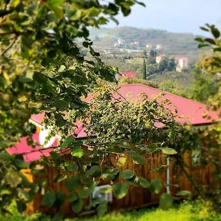 Bahcede Ahsap Bag Evi Ve Cardak Tatil Evi Trabzon
