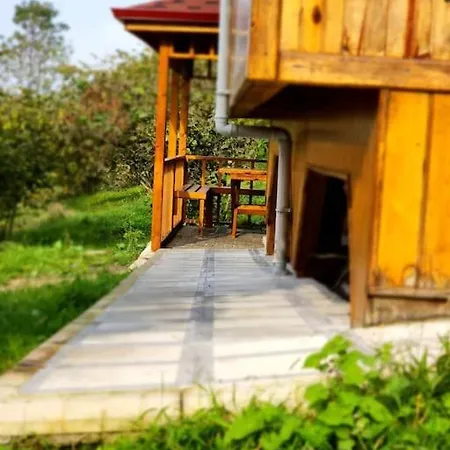 Bahcede Ahsap Bag Evi Ve Cardak Trabzon