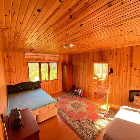 Bahcede Ahsap Bag Evi Ve Cardak Tatil Evi *