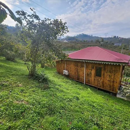 Tatil Evi Bahcede Ahsap Bag Evi Ve Cardak *