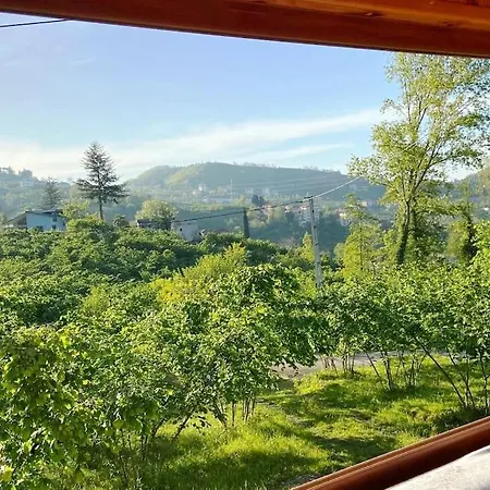 Tatil Evi Bahcede Ahsap Bag Evi Ve Cardak Trabzon
